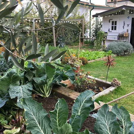 Horto Terapeutico Desenzano del Garda